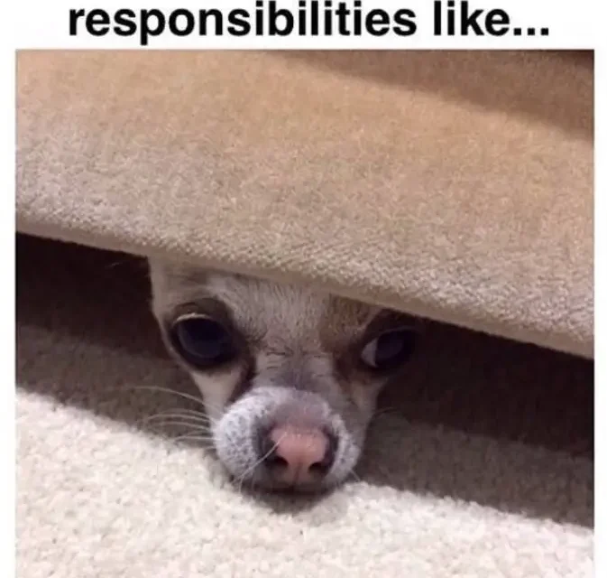 Hiding From Adult Responsibilities