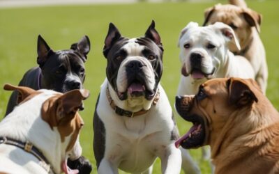 16 Fun Activities to Keep Your Cane Corso Dog Mentally Stimulated