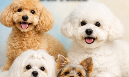 9 Cute Dog Breeds That Surprisingly Don’t Shed