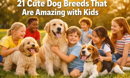 21 Cute Dog Breeds That Are Amazing with Kids
