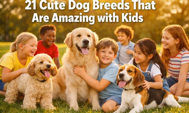 21 Cute Dog Breeds That Are Amazing with Kids
