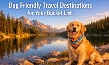 6 Cute and Dog Friendly Travel Destinations for Your Bucket List
