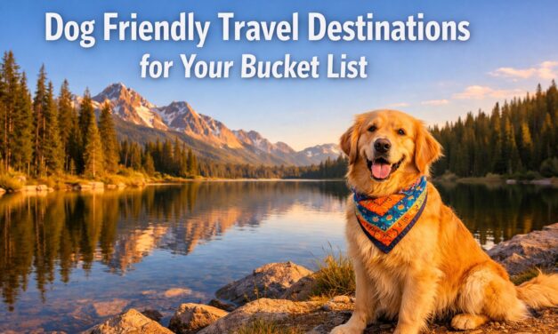 6 Cute and Dog Friendly Travel Destinations for Your Bucket List