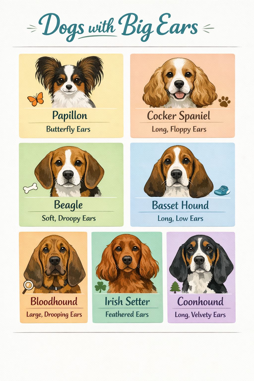 Portrait/Pinterest format () featuring a side-by-side comparison flat-lay infographic of 7 dog breeds with big ears —