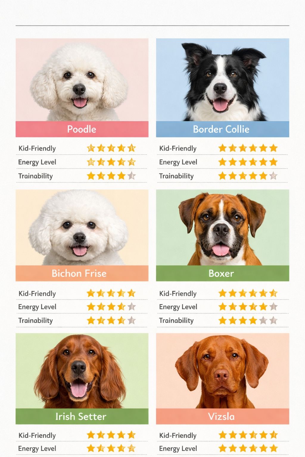 Portrait/Pinterest format () clean editorial flat-lay style image showing a visual comparison grid of six dog breed