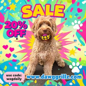 Dawg Grillz Ball