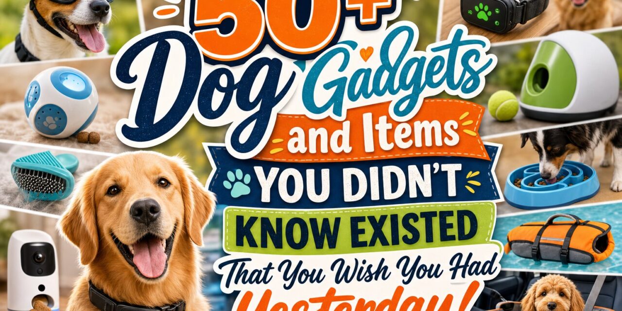 50+ Dog Gadgets and Items You Didn’t Know Existed That You Wish You Had Yesterday