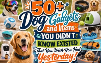 50+ Dog Gadgets and Items You Didn’t Know Existed That You Wish You Had Yesterday