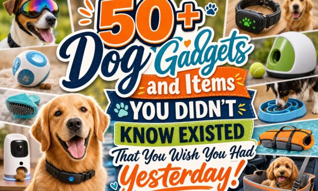 50+ Dog Gadgets and Items You Didn’t Know Existed That You Wish You Had Yesterday