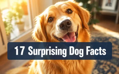 17 Surprising Dog Facts That Will Change How You See Your Pup