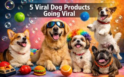5 Viral Dog Products Taking Over the Internet