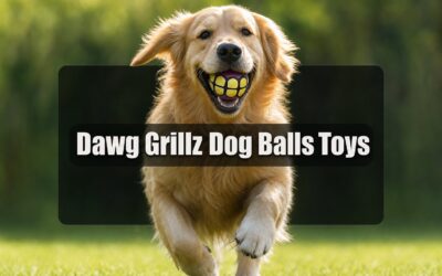 Dawg Grillz Review: Does It Live Up to the Hype?
