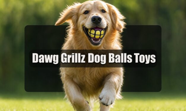 Dawg Grillz Review: Does It Live Up to the Hype?