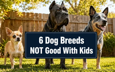 6 Dog Breeds NOT Good With Kids