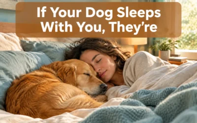 If Your Dog Sleeps With You, They’re Trying to Tell You This!