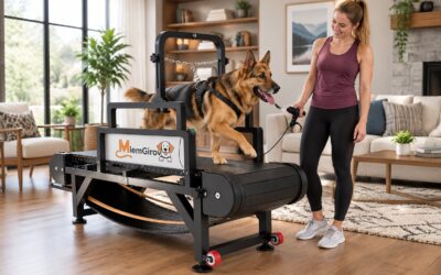 Does This Gadget Really Walk Your Dog For You?
