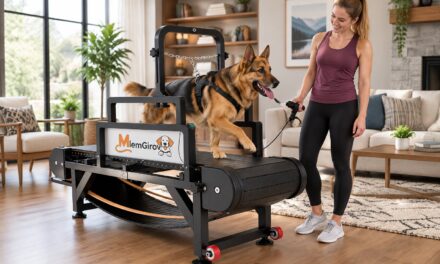 Does This Gadget Really Walk Your Dog For You?