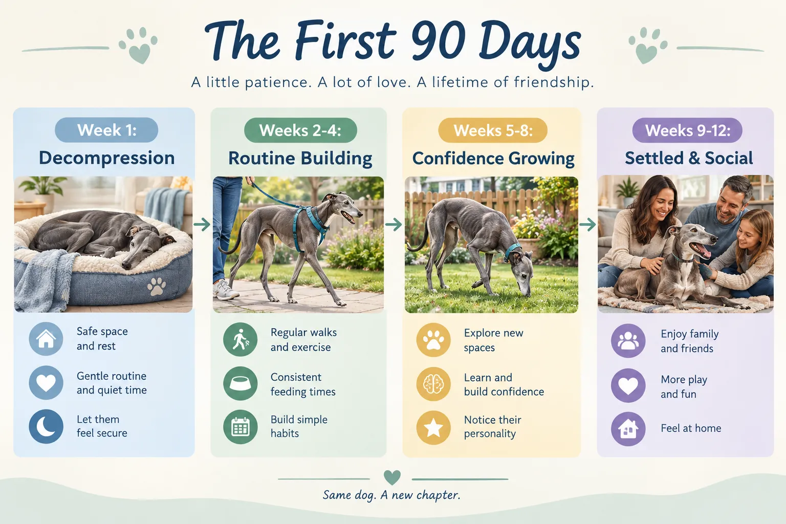 Daily Care Expectations in the Early Weeks