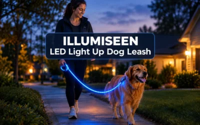 Walk Your Dog Safely At Night Using This