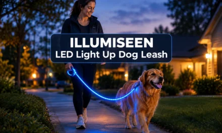 Walk Your Dog Safely At Night Using This
